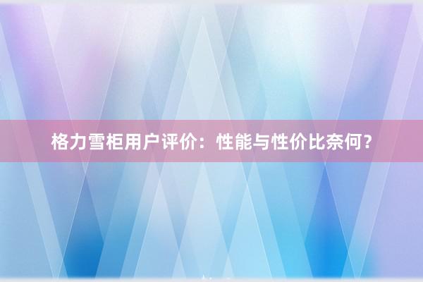 格力雪柜用户评价：性能与性价比奈何？