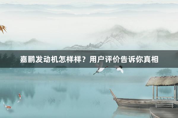 嘉鹏发动机怎样样？用户评价告诉你真相