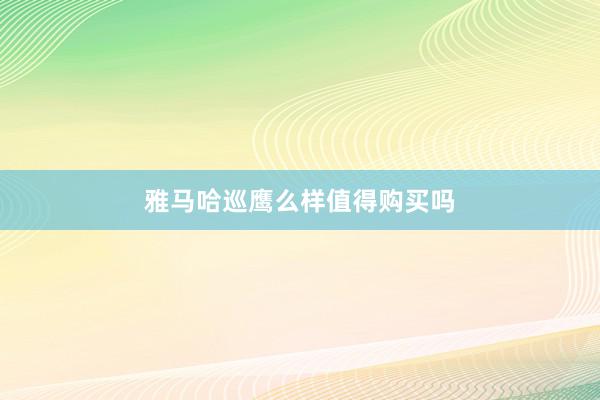 雅马哈巡鹰么样值得购买吗
