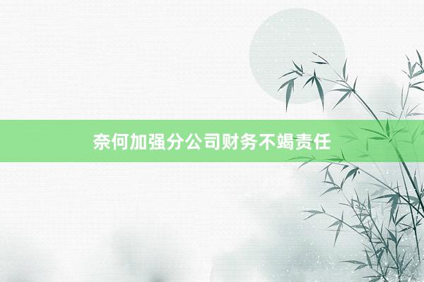 奈何加强分公司财务不竭责任